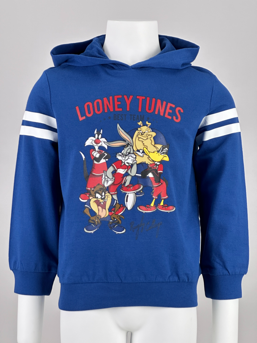 Худи Looney Tunes